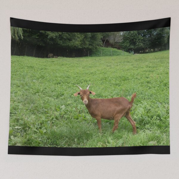 Item preview, Farm goat - Goat farmer designed and sold by animal-animal.