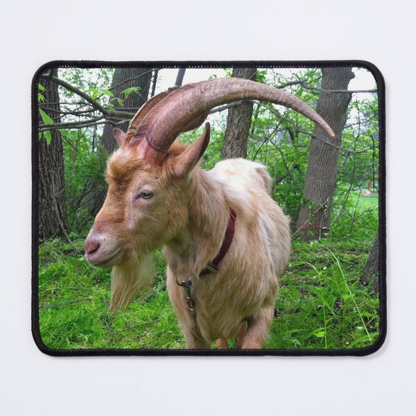 Item preview, Farm goat - Goat farmer designed and sold by animal-animal.