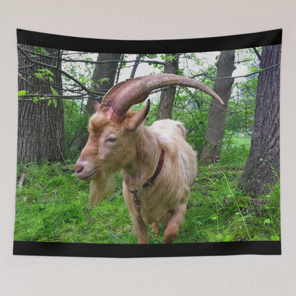 Aperçu de l'œuvre Farm goat - Goat farmer créée et vendue par animal-animal.