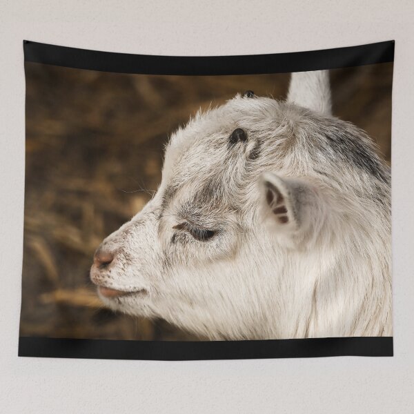 Item preview, Farm goat - Goat farmer designed and sold by animal-animal.