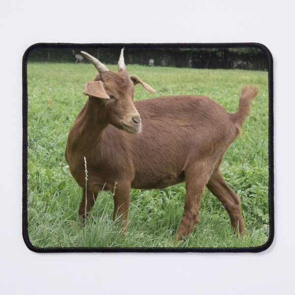Item preview, Farm goat - Goat farmer designed and sold by animal-animal.