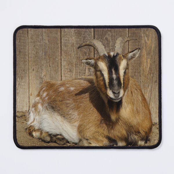 Item preview, Farm goat - Goat farmer designed and sold by animal-animal.