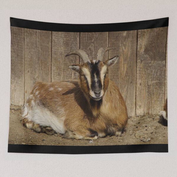 Item preview, Farm goat - Goat farmer designed and sold by animal-animal.