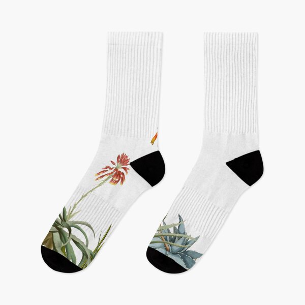 Item preview, Aloe Vera Plants Vintage Retro Botanical Illustrations designed and sold by Coastal Garden Design Studio.
