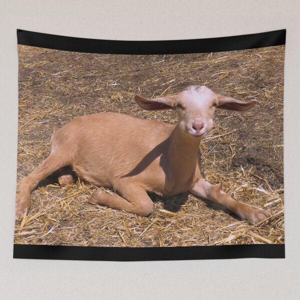 Item preview, Farm goat - Goat farmer designed and sold by animal-animal.