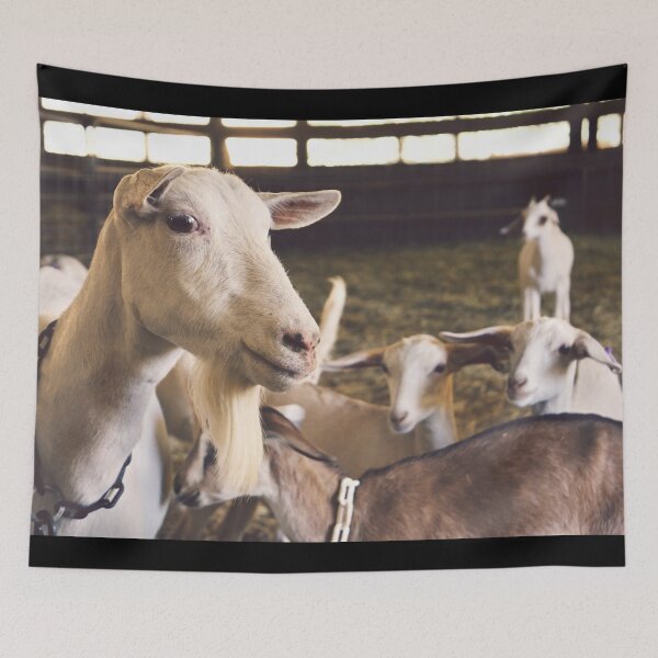 Item preview, Farm goat - Goat farmer designed and sold by animal-animal.
