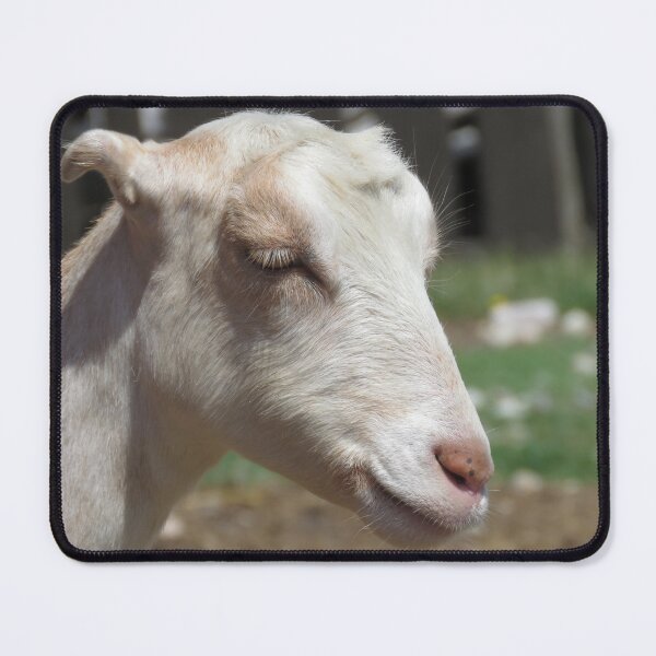 Item preview, Farm goat - Goat farmer designed and sold by animal-animal.