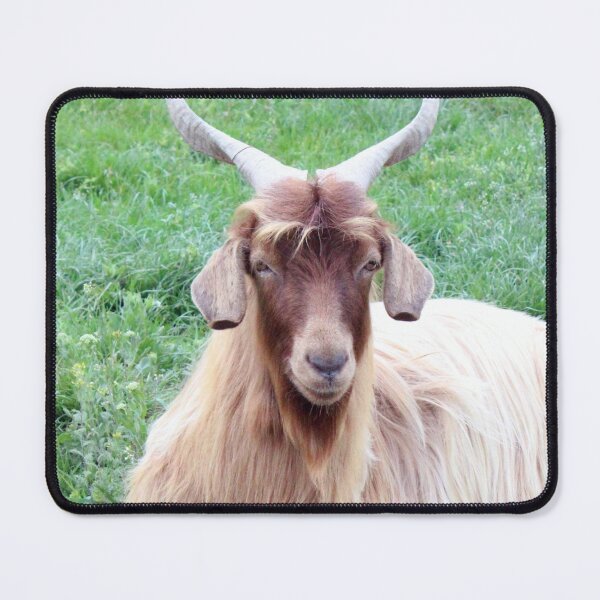 Item preview, Farm goat - Goat farmer designed and sold by animal-animal.