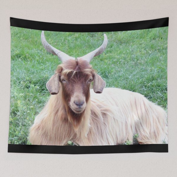 Item preview, Farm goat - Goat farmer designed and sold by animal-animal.