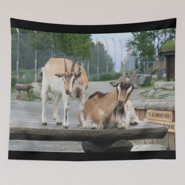 Item preview, Farm goat - Goat farmer designed and sold by animal-animal.