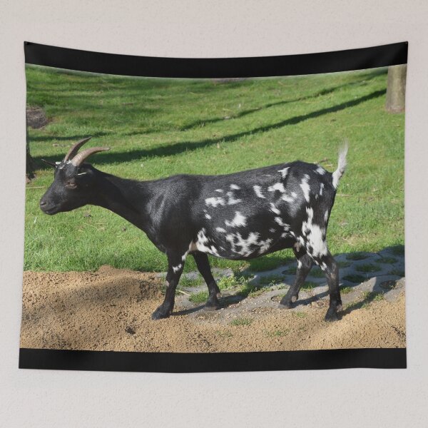 Item preview, Farm goat - Goat farmer designed and sold by animal-animal.
