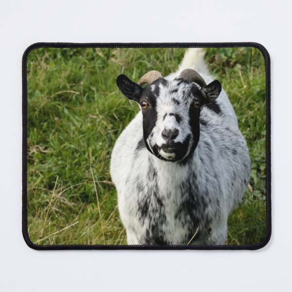 Item preview, Farm goat - Goat farmer designed and sold by animal-animal.