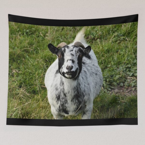 Item preview, Farm goat - Goat farmer designed and sold by animal-animal.