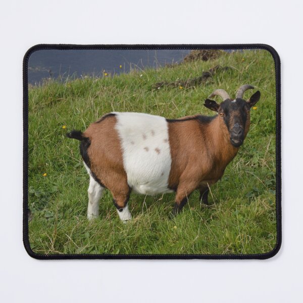 Item preview, Farm goat - Goat farmer designed and sold by animal-animal.