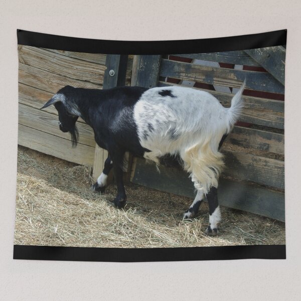 Item preview, Farm goat - Goat farmer designed and sold by animal-animal.