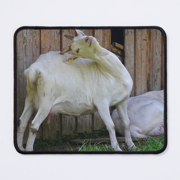 Item preview, Farm goat - Goat farmer designed and sold by animal-animal.