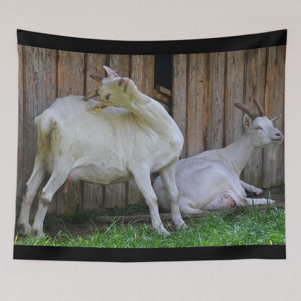 Aperçu de l'œuvre Farm goat - Goat farmer créée et vendue par animal-animal.
