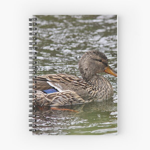 Item preview, Mallard hen - preened and fluffed designed and sold by Linda Crockett.
