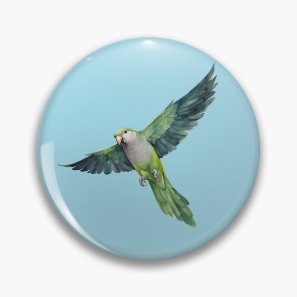 Item preview, A watercolor of a flying quaker parrot designed and sold by Bwiselizzy.