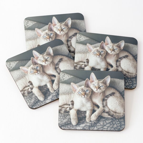 Item preview, Two cute Devon Rex kittens laying down together designed and sold by igvee.