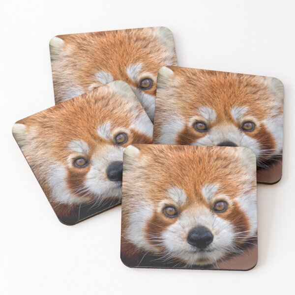 Item preview, Bandit designed and sold by Krys Bailey.