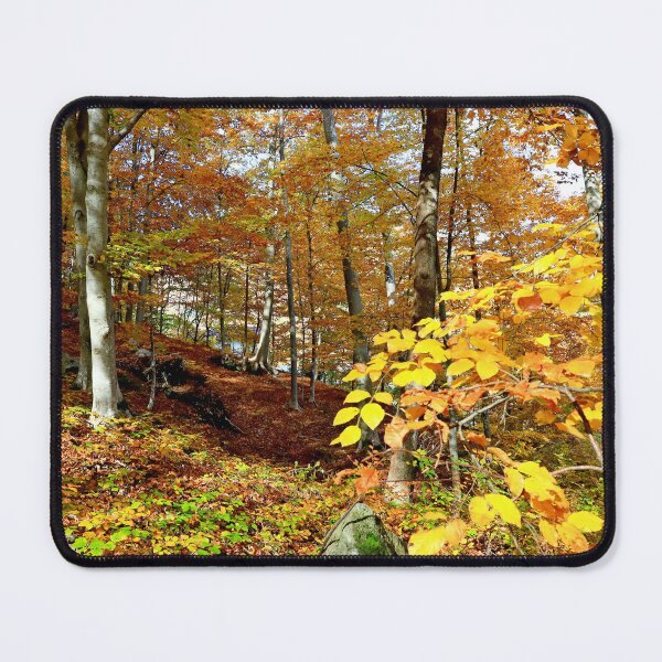 Item preview, Autumn in the forest designed and sold by annalisa56.