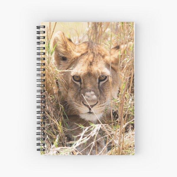 Item preview, Peeping Lion designed and sold by Somerset-Bill.