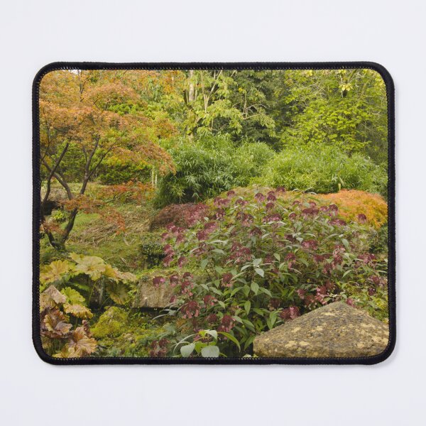 Aperçu de l'œuvre Arboretum de Batsford créée et vendue par ASTRID EWING.