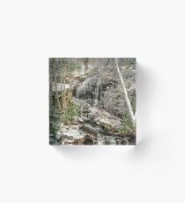 Hemlock Hollow Acrylic Block