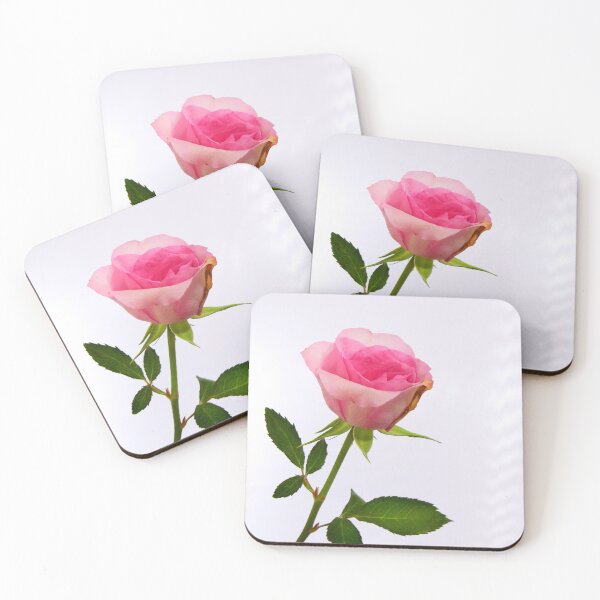 Item preview, Pink Rose on White designed and sold by JonDelorme.