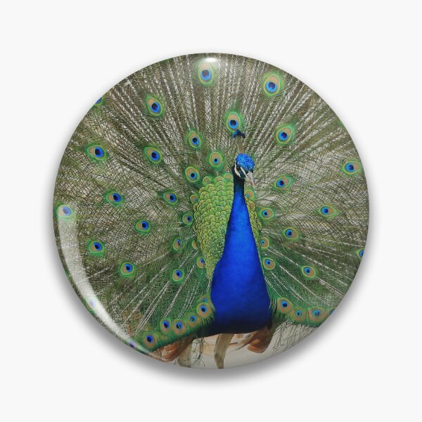 Item preview, Peacock designed and sold by Mothboybrown.