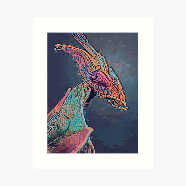 Item preview, Mantis, Praying, Mantis, Bugs, Mantis Prayer, Praying Mantis designed and sold by Luiza Musial.