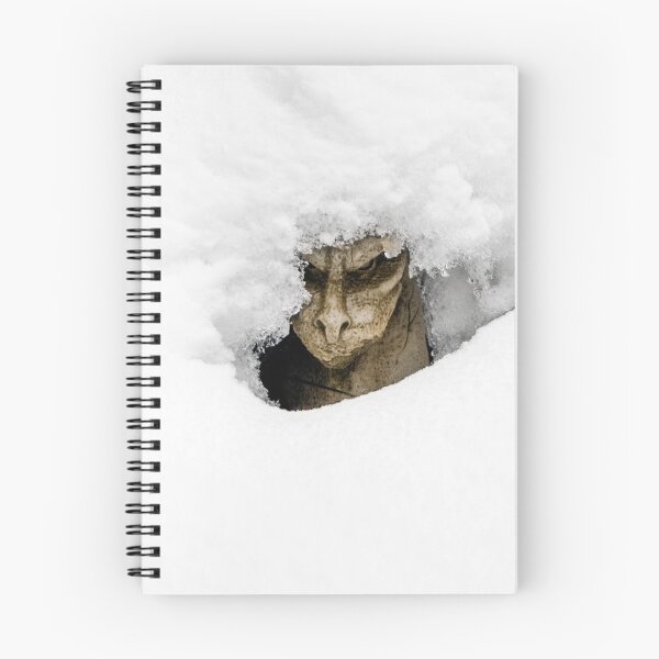 Item preview, Obviously Cold designed and sold by Cathy Griffiths.