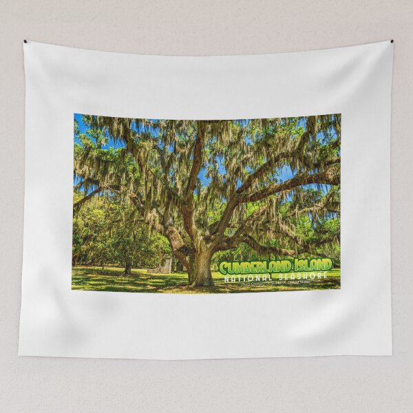 Item preview, Cumberland Island National Seashore designed and sold by GestaltImagery.