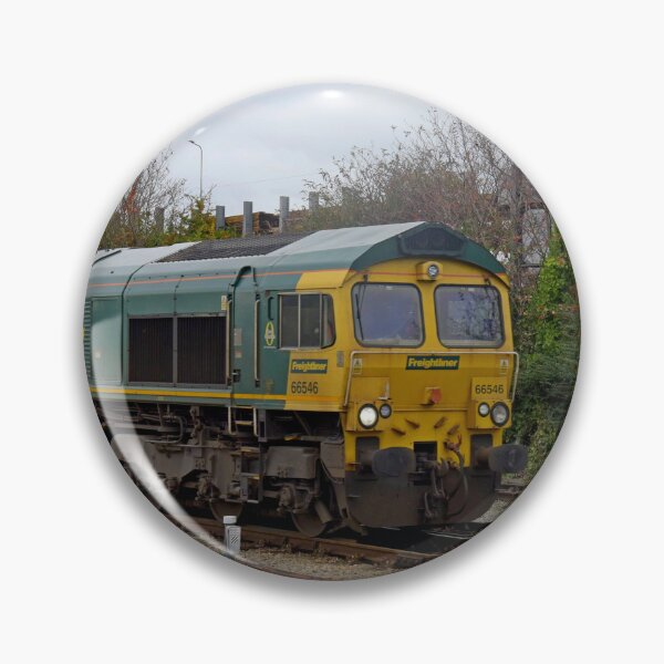 Item preview, Freightliner Class 66 loco 66546 designed and sold by Random Railways.