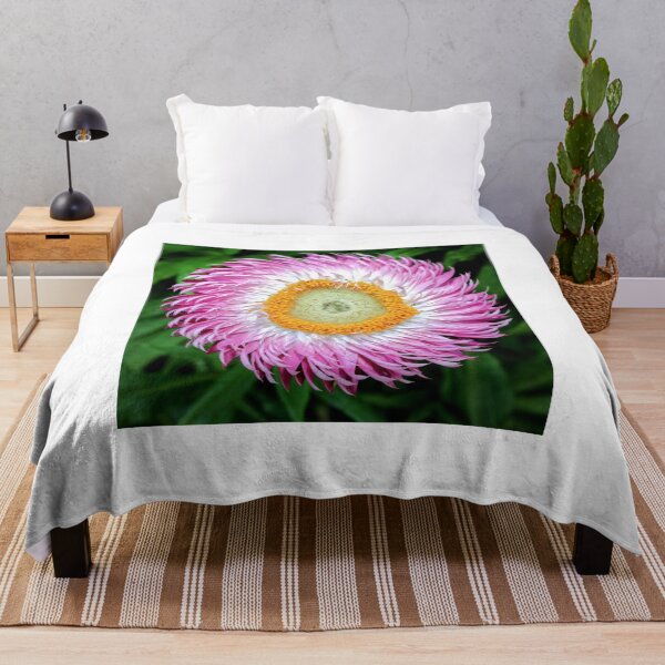Item preview, Belleza circular designed and sold by David Beards.