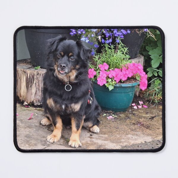 Item preview, Lonnie at Arlington Row designed and sold by images4design.