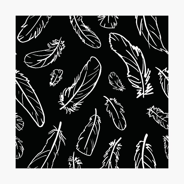 Black Feather Pattern Photographic Print