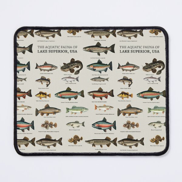 Item preview, Aquatic Fauna of Lake Superior - Vintage Fish Illustrations - Seamless Pattern Design designed and sold by ShobulousStudio.