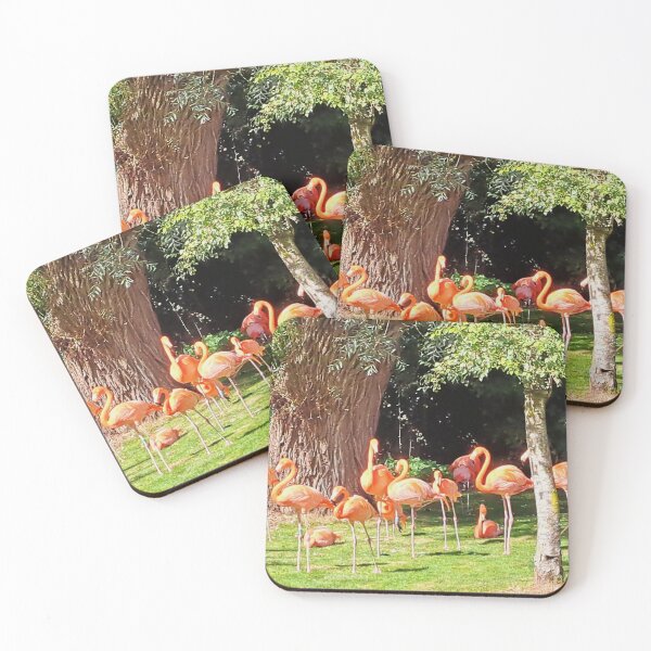 Item preview, Caribbean Flamingoes at Birdland, Bourton on the Water designed and sold by images4design.