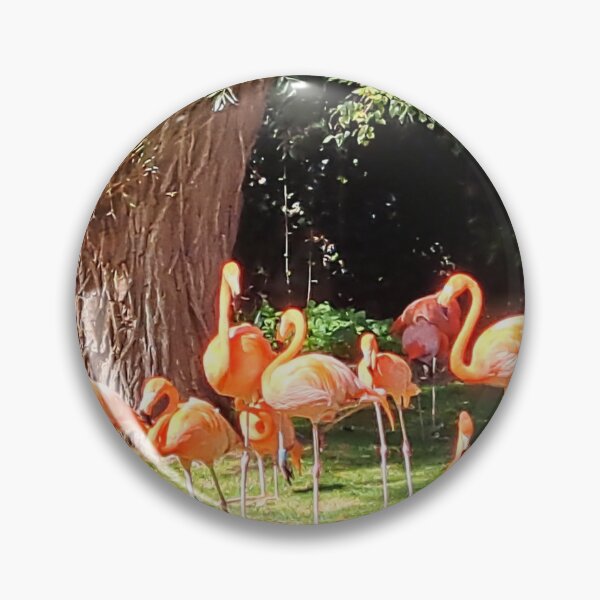 Item preview, Caribbean Flamingoes at Birdland, Bourton on the Water designed and sold by images4design.