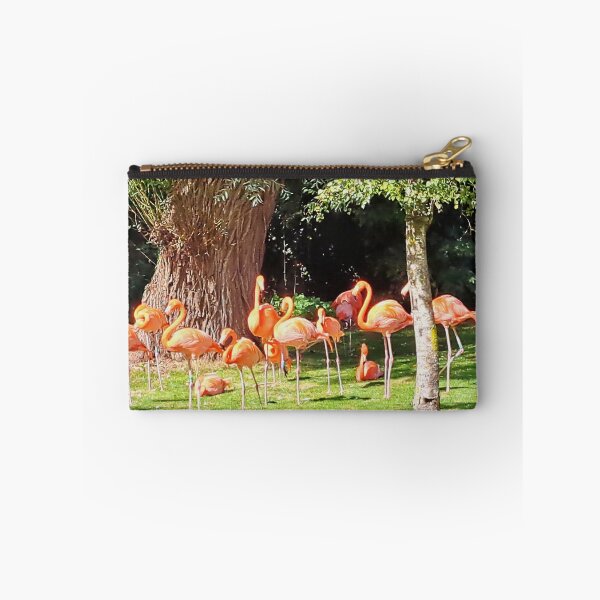 Artikelvorschau, Karibische Flamingos im Birdland, Bourton on the Water entworfen und verkauft von images4design.