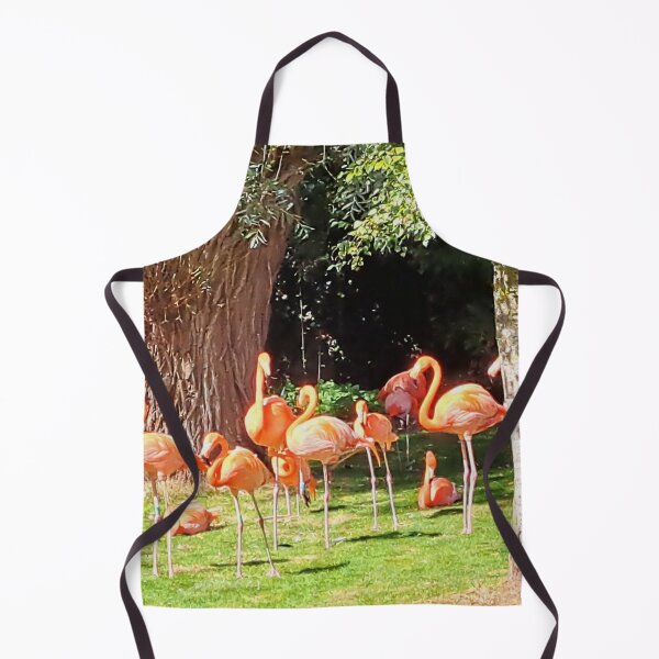 Item preview, Caribbean Flamingoes at Birdland, Bourton on the Water designed and sold by images4design.