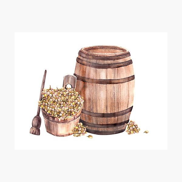 Item preview, Wine barrel with wooden basket, crusher, leaves, grapes harvest. Watercolor hand draw illustration  designed and sold by BartolArt.