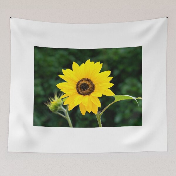 Item preview, Sunflower Helianthus-Annuus designed and sold by Dorset Girl.