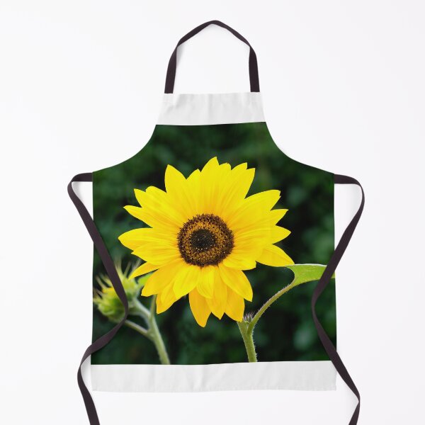 Item preview, Sunflower Helianthus-Annuus designed and sold by Dorset Girl.