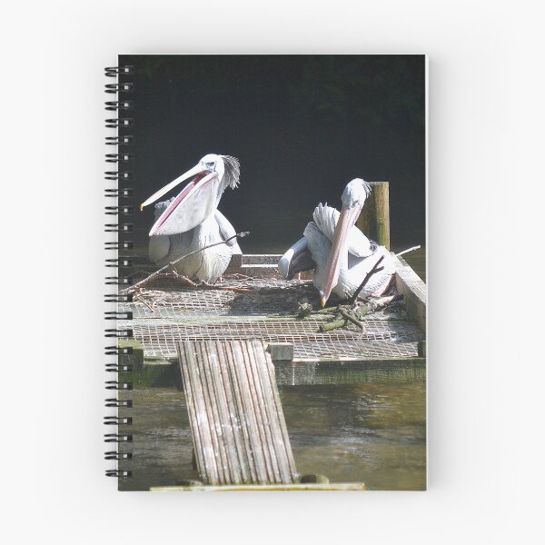 Item preview, Pelicans at Birdland, Bourton on the Water designed and sold by images4design.