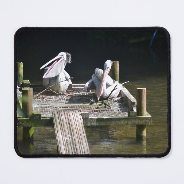 Item preview, Pelicans at Birdland, Bourton on the Water designed and sold by images4design.