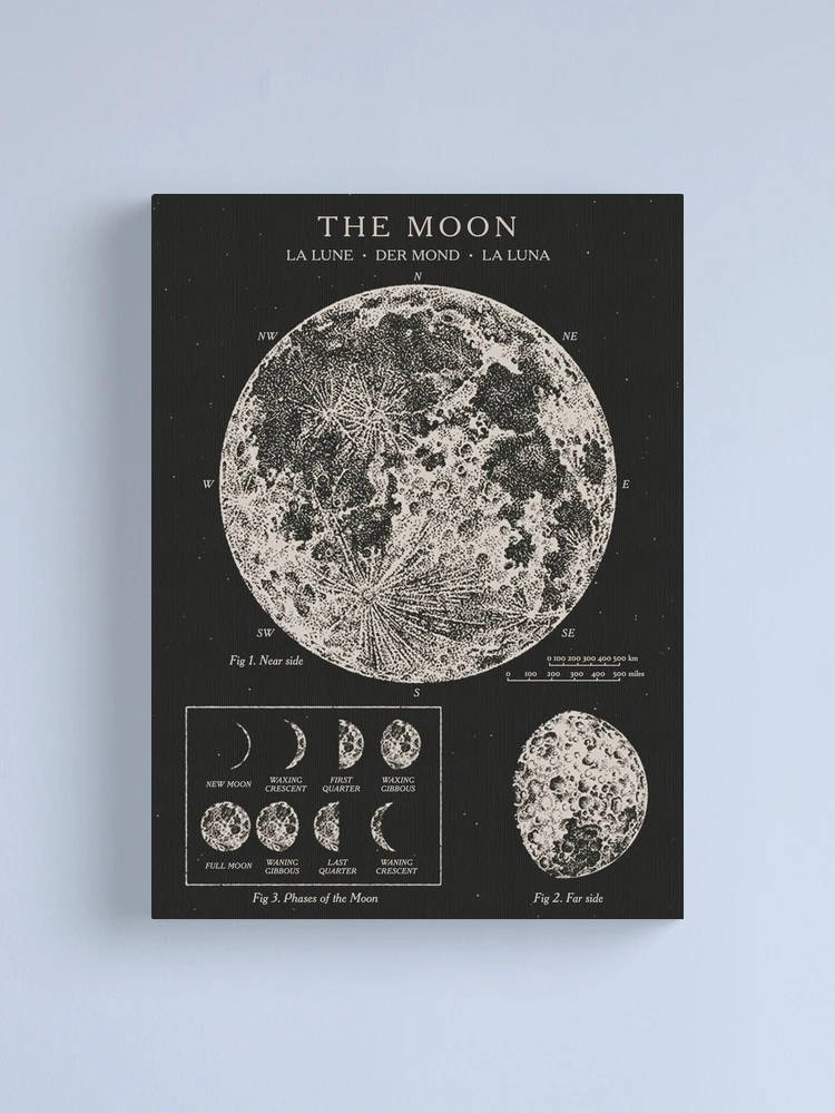激レア Moon STRATCASTER Vintage Moon Phases Vintage Poster