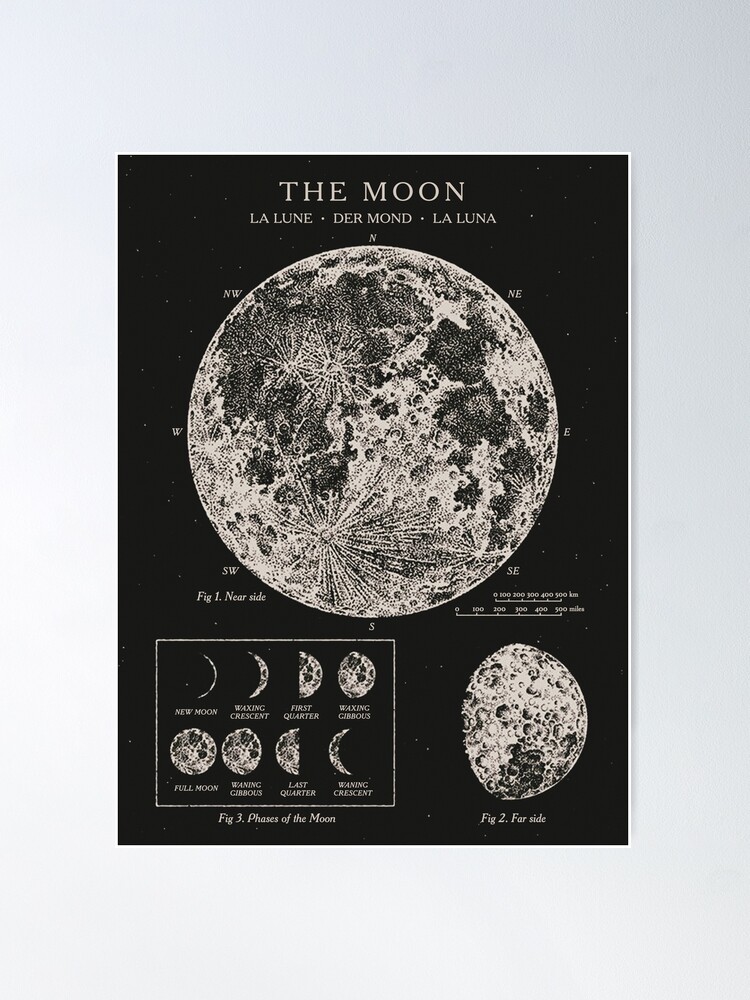 Moon Phases Vintage Poster Poster for Sale by backtoblackttt
